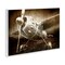 Stupell Industries Taking Flight Vintage Wall Plaque, design by Kim Allen